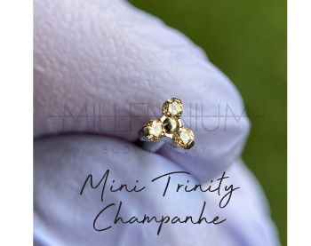 Mini Trinity Champanhe (16G)