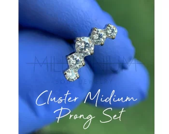 Cluster Midium Prong Set (14G)